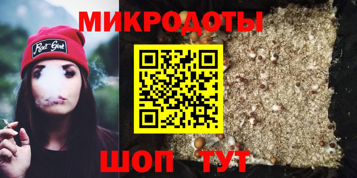 Псилоцибиновые грибы Psilocybine cubensis  Вход с VPN  Арсеньев 