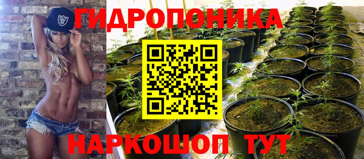 Бошки Шишки VHQ Арсеньев